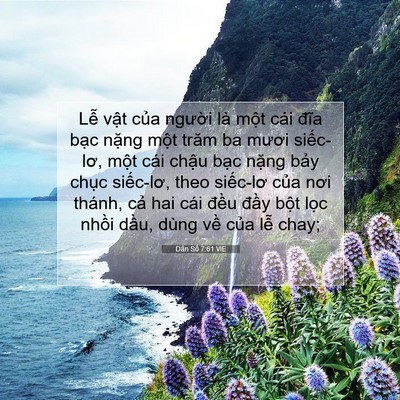 Picture 07 - Dân Số 7:61 VIE - Lễ vật của người là một cái đĩa - Bible Verse Picture