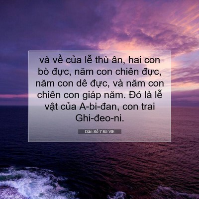 Picture 07 - Dân Số 7:65 VIE - và về của lễ thù ân, hai con bò đực, - Bible Verse Picture