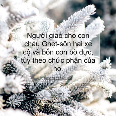 Picture 07 - Dân Số 7:7 VIE - Người giao cho con cháu Ghẹt-sôn hai xe - Bible Verse Picture