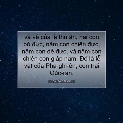 Picture 07 - Dân Số 7:77 VIE - và về của lễ thù ân, hai con bò đực, - Bible Verse Picture