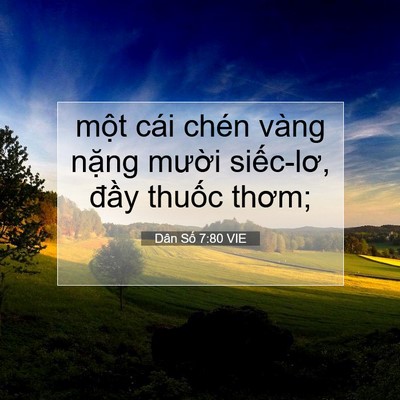Picture 07 - Dân Số 7:80 VIE - một cái chén vàng nặng mười siếc-lơ, - Bible Verse Picture