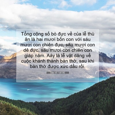 Picture 07 - Dân Số 7:88 VIE - Tổng cộng số bò đực về của lễ - Bible Verse Picture