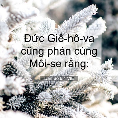 Picture 07 - Dân Số 8:1 VIE - Đức Giê-hô-va cũng phán cùng Môi-se - Bible Verse Picture