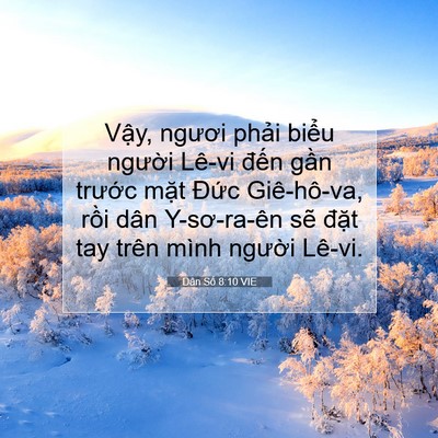 Picture 07 - Dân Số 8:10 VIE - Vậy, ngươi phải biểu người Lê-vi - Bible Verse Picture