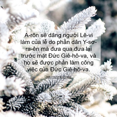 Picture 07 - Dân Số 8:11 VIE - A-rôn sẽ dâng người Lê-vi làm của lễ - Bible Verse Picture
