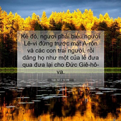 Picture 07 - Dân Số 8:13 VIE - Kế đó, ngươi phải biểu người Lê-vi - Bible Verse Picture