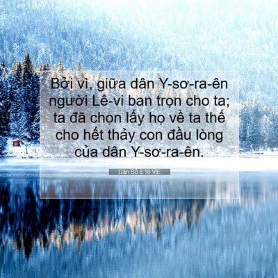 Picture 07 - Dân Số 8:16 VIE - Bởi vì, giữa dân Y-sơ-ra-ên người - Bible Verse Picture