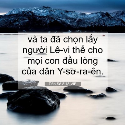 Picture 07 - Dân Số 8:18 VIE - và ta đã chọn lấy người Lê-vi thế - Bible Verse Picture