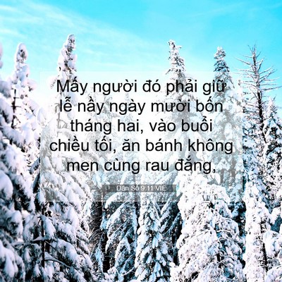 Picture 07 - Dân Số 9:11 VIE - Mấy người đó phải giữ lễ nầy ngày - Bible Verse Picture