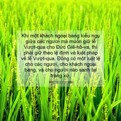 Picture 07 - Dân Số 9:14 VIE - Khi một khách ngoại bang kiều ngụ giữa - Bible Verse Picture