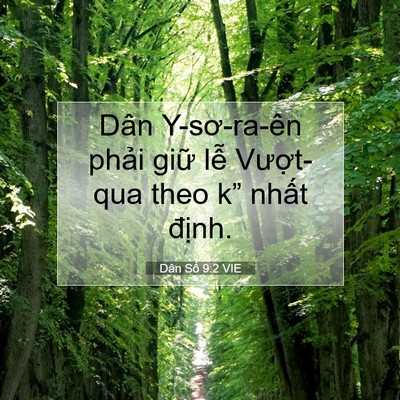 Picture 07 - Dân Số 9:2 VIE - Dân Y-sơ-ra-ên phải giữ lễ Vượt-qua - Bible Verse Picture