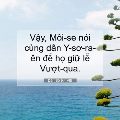 Picture 07 - Dân Số 9:4 VIE - Vậy, Môi-se nói cùng dân Y-sơ-ra-ên để - Bible Verse Picture