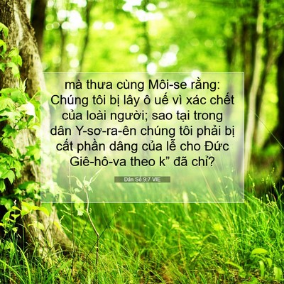 Picture 07 - Dân Số 9:7 VIE - mà thưa cùng Môi-se rằng: Chúng tôi bị - Bible Verse Picture
