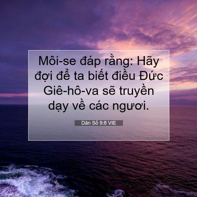 Picture 07 - Dân Số 9:8 VIE - Môi-se đáp rằng: Hãy đợi để ta biết - Bible Verse Picture