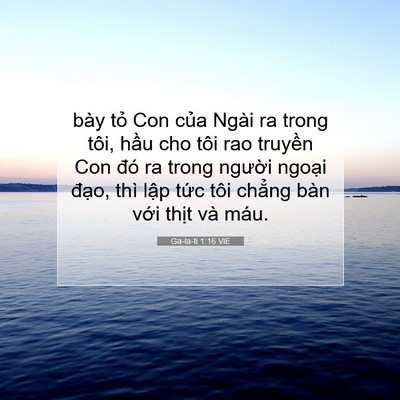 Picture 07 - Ga-la-ti 1:16 VIE - bày tỏ Con của Ngài ra trong tôi, hầu - Bible Verse Picture