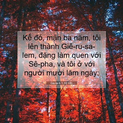 Picture 07 - Ga-la-ti 1:18 VIE - Kế đó, mãn ba năm, tôi lên thành - Bible Verse Picture