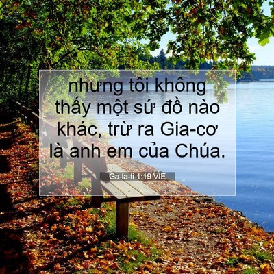 Picture 07 - Ga-la-ti 1:19 VIE - nhưng tôi không thấy một sứ đồ nào - Bible Verse Picture