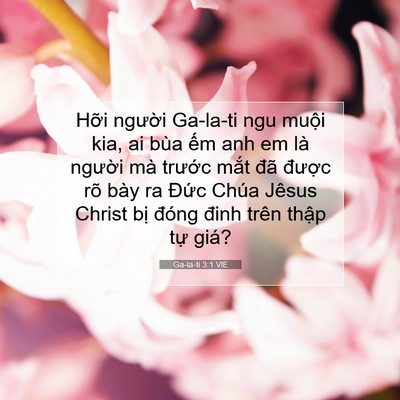 Picture 07 - Ga-la-ti 3:1 VIE - Hỡi người Ga-la-ti ngu muội kia, ai bùa - Bible Verse Picture