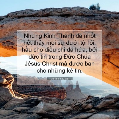 Picture 07 - Ga-la-ti 3:22 VIE - Nhưng Kinh Thánh đã nhốt hết thảy mọi - Bible Verse Picture