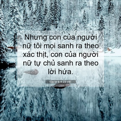 Picture 07 - Ga-la-ti 4:23 VIE - Nhưng con của người nữ tôi mọi sanh ra - Bible Verse Picture