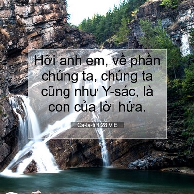 Picture 07 - Ga-la-ti 4:28 VIE - Hỡi anh em, về phần chúng ta, chúng ta - Bible Verse Picture