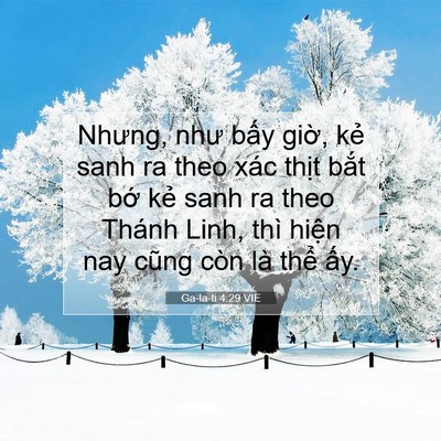 Picture 07 - Ga-la-ti 4:29 VIE - Nhưng, như bấy giờ, kẻ sanh ra theo xác - Bible Verse Picture
