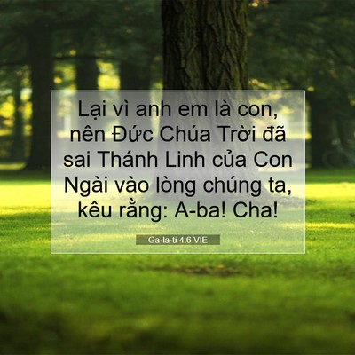 Picture 07 - Ga-la-ti 4:6 VIE - Lại vì anh em là con, nên Đức Chúa - Bible Verse Picture