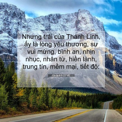 Picture 07 - Ga-la-ti 5:22 VIE - Nhưng trái của Thánh Linh, ấy là lòng - Bible Verse Picture