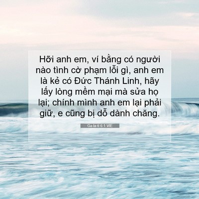 Picture 07 - Ga-la-ti 6:1 VIE - Hỡi anh em, ví bằng có người nào tình - Bible Verse Picture