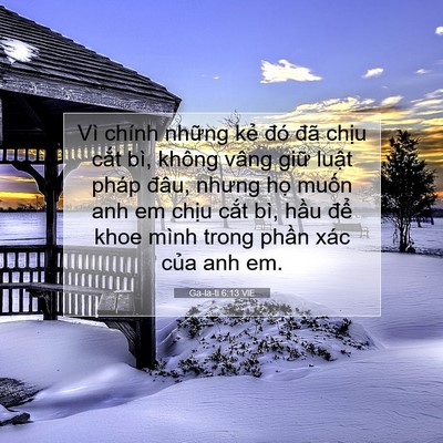 Picture 07 - Ga-la-ti 6:13 VIE - Vì chính những kẻ đó đã chịu cắt - Bible Verse Picture
