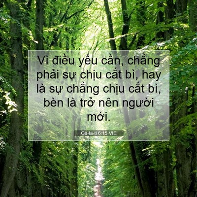 Picture 07 - Ga-la-ti 6:15 VIE - Vì điều yếu cần, chẳng phải sự - Bible Verse Picture