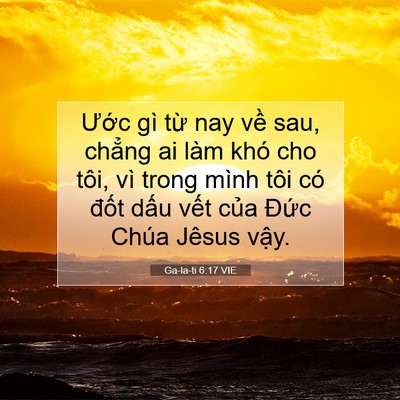 Picture 07 - Ga-la-ti 6:17 VIE - Ước gì từ nay về sau, chẳng ai làm - Bible Verse Picture