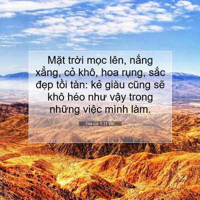 Picture 07 - Gia-cơ 1:11 VIE - Mặt trời mọc lên, nắng xẳng, cỏ - Bible Verse Picture