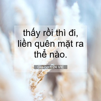Picture 07 - Gia-cơ 1:24 VIE - thấy rồi thì đi, liền quên mặt ra - Bible Verse Picture