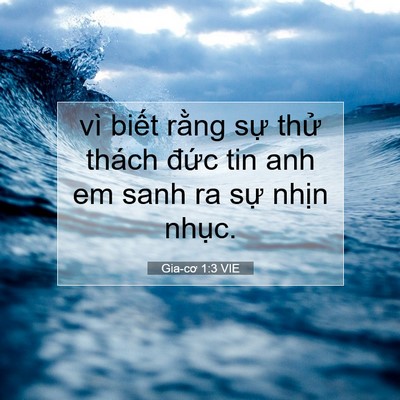Picture 07 - Gia-cơ 1:3 VIE - vì biết rằng sự thử thách đức tin - Bible Verse Picture
