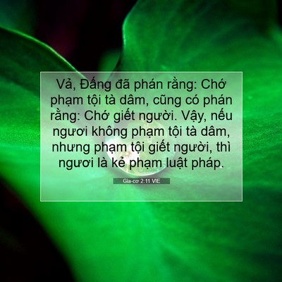 Picture 07 - Gia-cơ 2:11 VIE - Vả, Đấng đã phán rằng: Chớ phạm - Bible Verse Picture