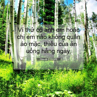 Picture 07 - Gia-cơ 2:15 VIE - Ví thử có anh em hoặc chị em nào không - Bible Verse Picture