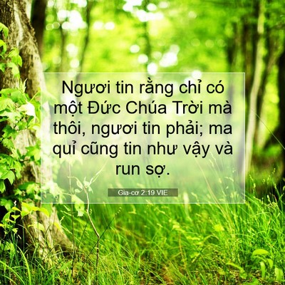 Picture 07 - Gia-cơ 2:19 VIE - Ngươi tin rằng chỉ có một Đức Chúa - Bible Verse Picture