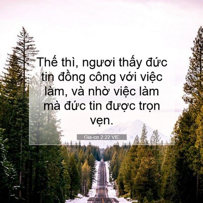 Picture 07 - Gia-cơ 2:22 VIE - Thế thì, ngươi thấy đức tin đồng - Bible Verse Picture