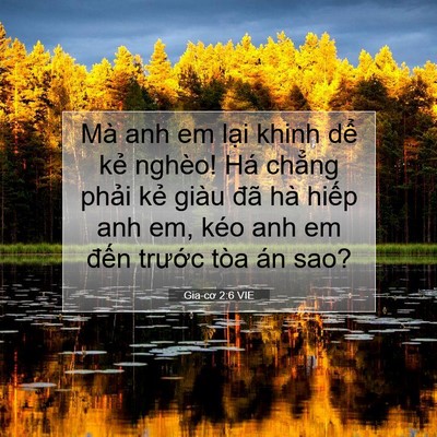 Picture 07 - Gia-cơ 2:6 VIE - Mà anh em lại khinh dể kẻ nghèo! Há - Bible Verse Picture
