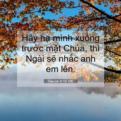 Picture 07 - Gia-cơ 4:10 VIE - Hãy hạ mình xuống trước mặt Chúa, - Bible Verse Picture