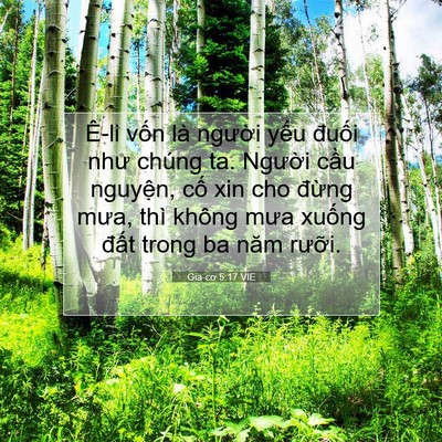Picture 07 - Gia-cơ 5:17 VIE - Ê-li vốn là người yếu đuối như - Bible Verse Picture