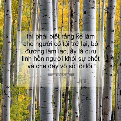 Picture 07 - Gia-cơ 5:20 VIE - thì phải biết rằng kẻ làm cho người - Bible Verse Picture