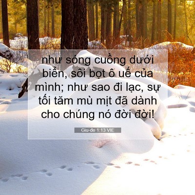 Picture 07 - Giu-đe 1:13 VIE - như sóng cuồng dưới biển, sôi bọt ô - Bible Verse Picture