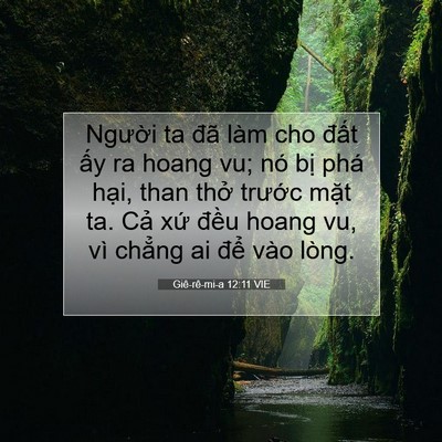 Picture 07 - Giê-rê-mi-a 12:11 VIE - Người ta đã làm cho đất ấy ra hoang - Bible Verse Picture