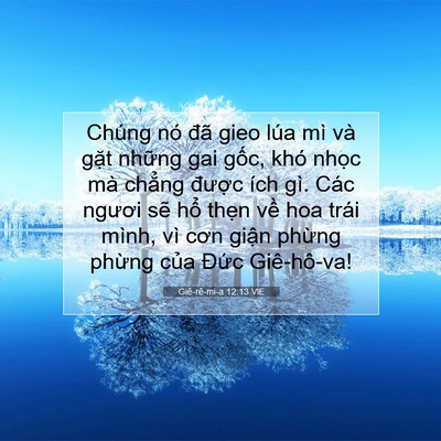 Picture 07 - Giê-rê-mi-a 12:13 VIE - Chúng nó đã gieo lúa mì và gặt những - Bible Verse Picture