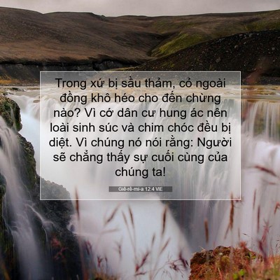 Picture 07 - Giê-rê-mi-a 12:4 VIE - Trong xứ bị sầu thảm, cỏ ngoài đồng - Bible Verse Picture