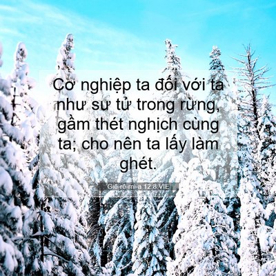 Picture 07 - Giê-rê-mi-a 12:8 VIE - Cơ nghiệp ta đối với ta như sư tử - Bible Verse Picture