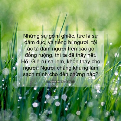 Picture 07 - Giê-rê-mi-a 13:27 VIE - Những sự gớm ghiếc, tức là sự dâm - Bible Verse Picture