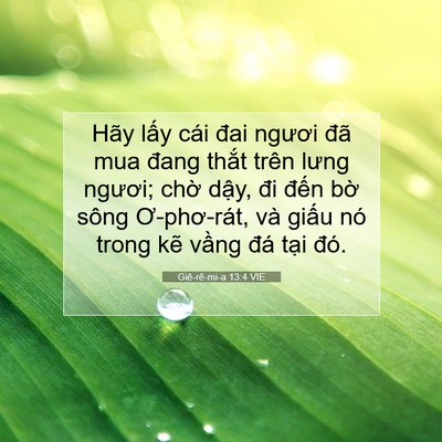 Picture 07 - Giê-rê-mi-a 13:4 VIE - Hãy lấy cái đai ngươi đã mua đang - Bible Verse Picture